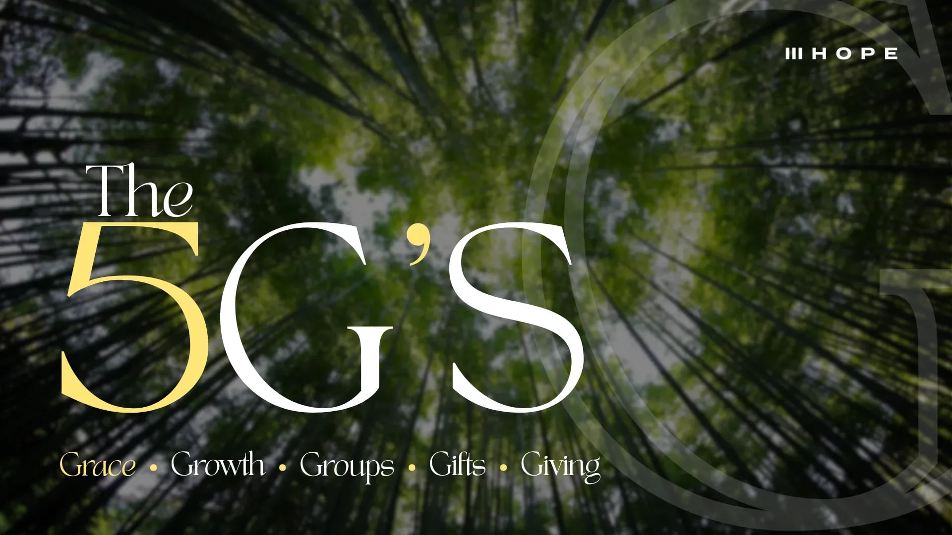 5G's study materials